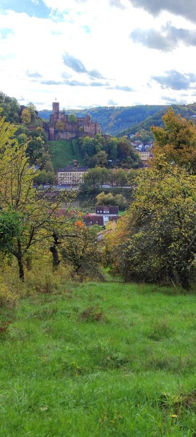 Fewo Traumblick Kreuzwertheim Zewnętrze zdjęcie