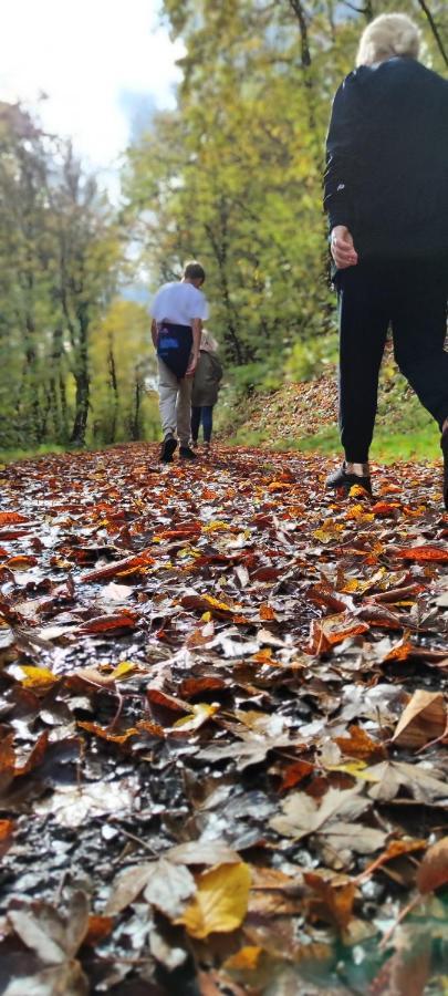 Fewo Traumblick Kreuzwertheim Zewnętrze zdjęcie